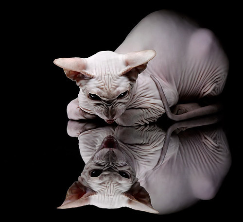 _未来运动打印馆:个性化运动装备制造_,深圳运动未来科技有限公司