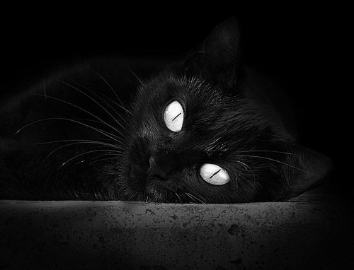 _欧洲足球冠军联赛：半决赛激战正酣_，2021欧洲足球半决赛