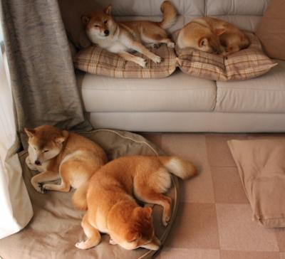 fb体育在线官网-亚眠备战期未能善始善终，球队状态迷离，亚眠ispa预科