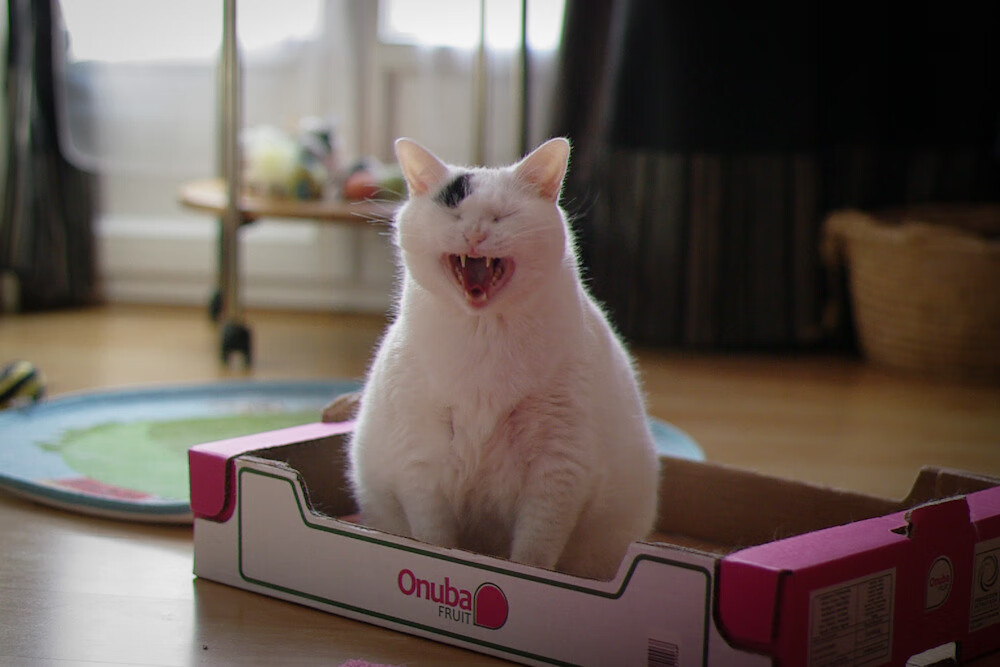 库里：打破所有“限制”，让投篮成为艺术！，库里的投篮动作教学