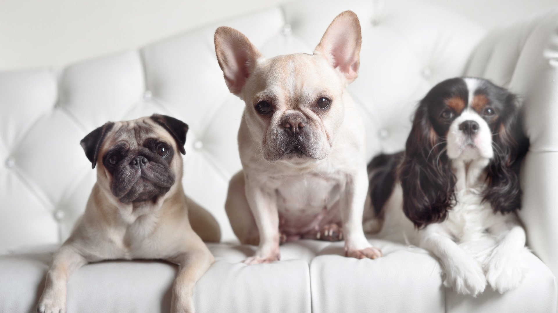 FB体育注册网址-库里：94次“远距离投篮”刷新NBA纪录！，库里超远距离投篮视频