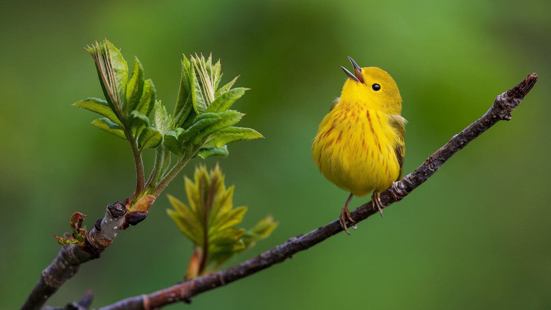 FB体育官方-战术奇兵：球队“神来之笔”的背后秘密，战术兵旗舰店