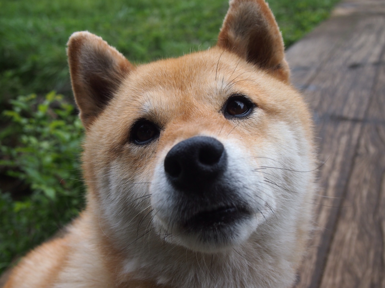 FB体育app下载-赛事的幕后支持——工作人员的辛勤付出，比赛幕后工作者