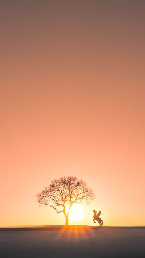 FB体育网站-凯尔特人稳定推进继续领跑东部，凯尔特人是东部第几